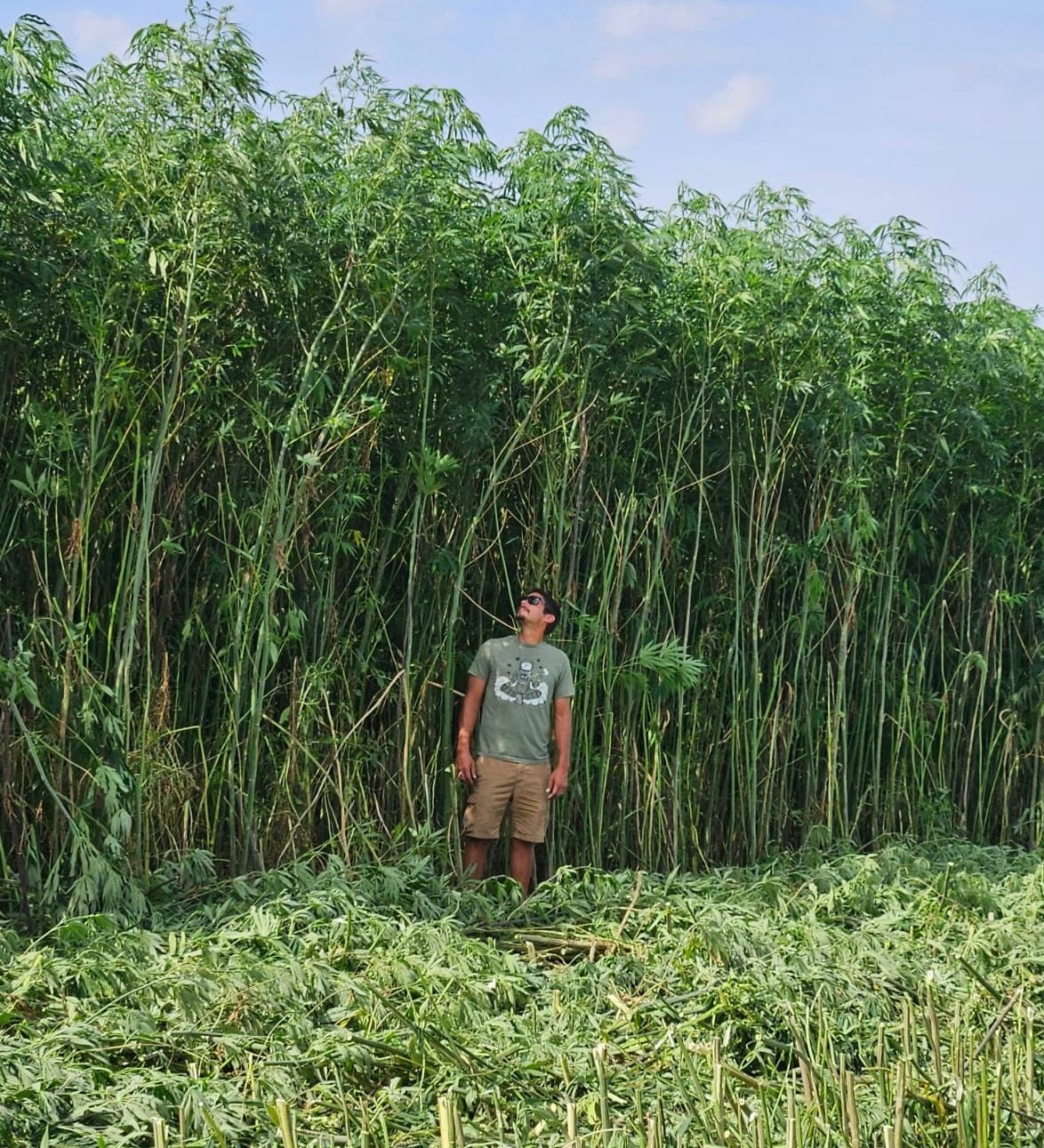 South Dakota No. 1 state in nation for hemp production