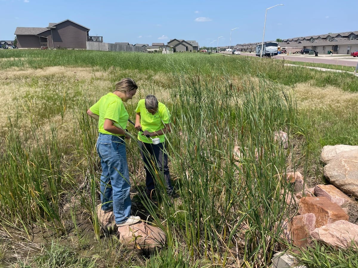 Two workers look for evidence of mosquitoes in a ditch in a residential neighborhood