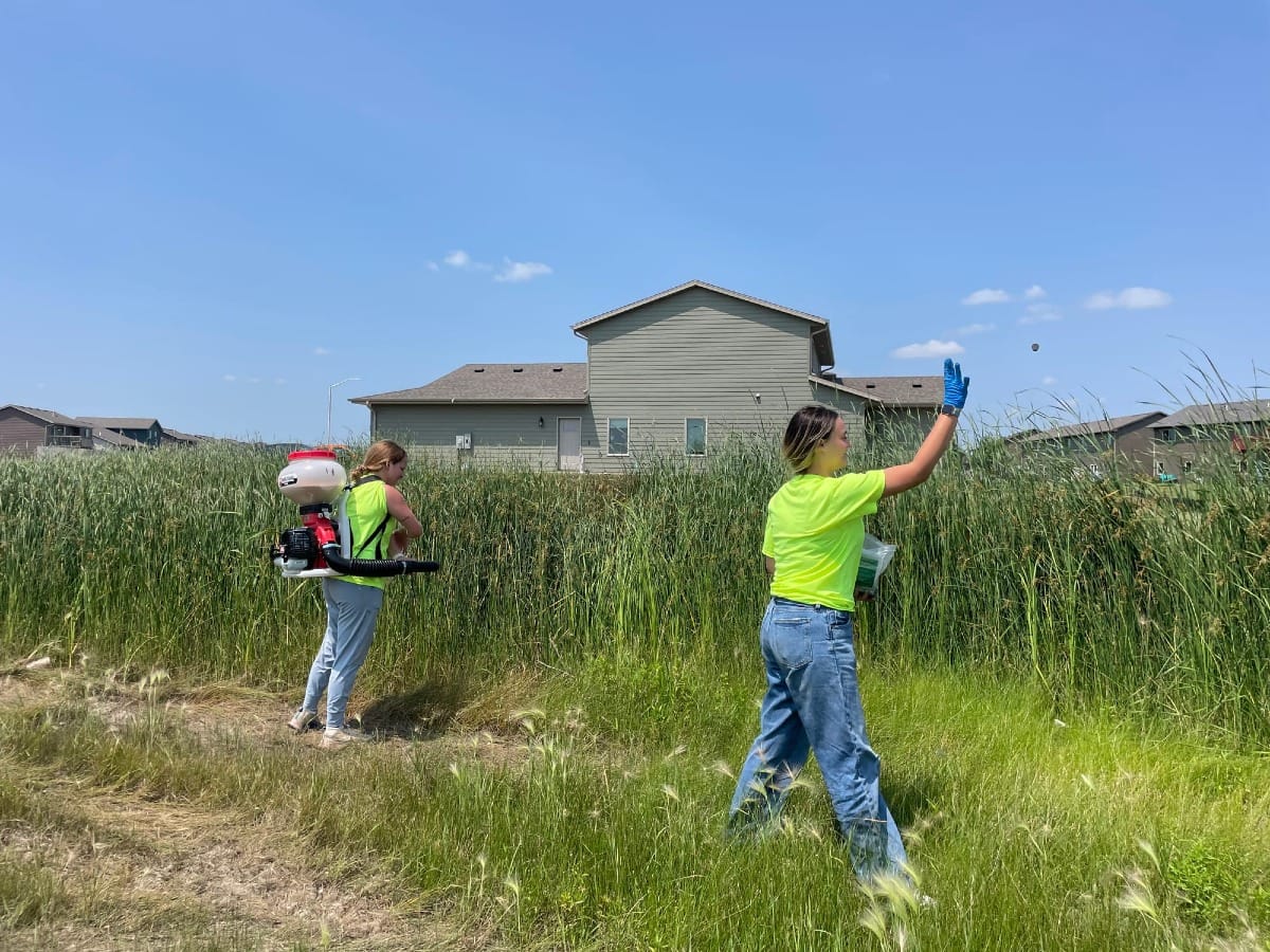 Workers conduct mosquito larvae sightings in a field in a residential area