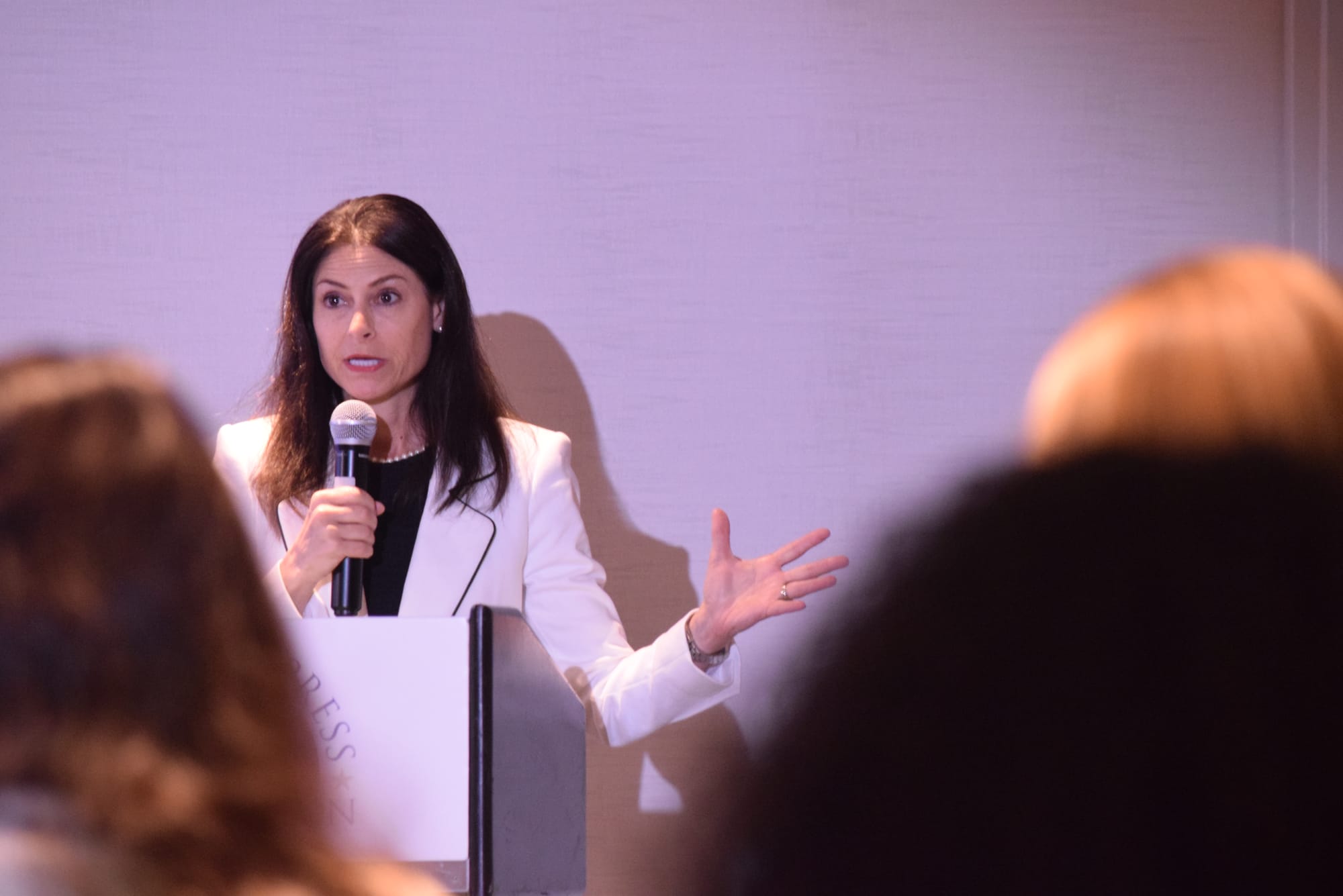 Michigan Attorney General Dana Nessel speaks at the National Press Foundation 2024 Elections Fellowship