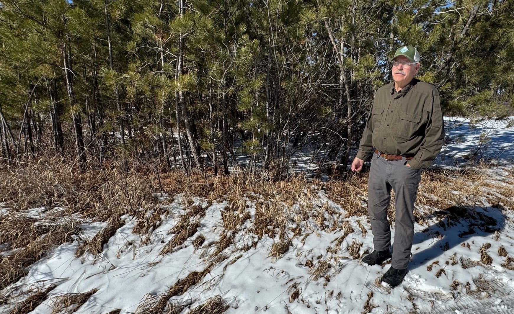 Bob Burns stands in his section of land in the Black Hills National Forest with trees in the background