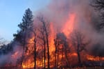 Federal money to prevent Black Hills forest fires left 'in limbo'