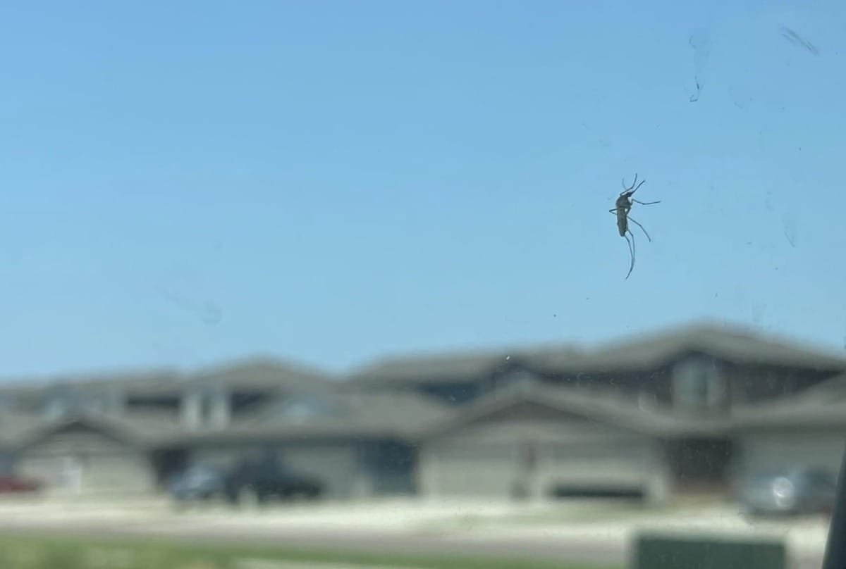 South Dakota's mosquito war