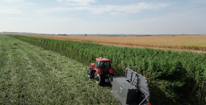 South Dakota No. 1 state in nation for hemp production