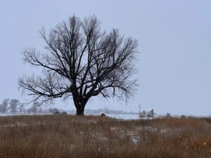 Prison site's previous owners would be 'rolling over in their graves'