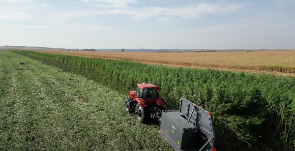 South Dakota No. 1 state in nation for hemp production